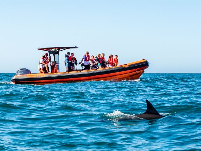 Cascais: Dolphin Watching Tour - The Guide’s Expertise and Storytelling Style
