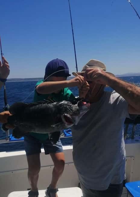 Cascais: Family Fishing - Marine Life Viewing in Cascais