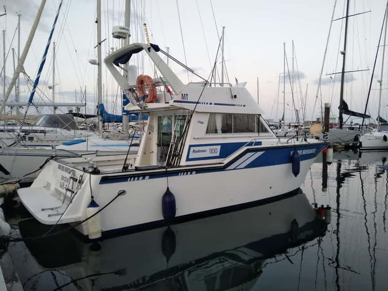 Cascais: Family Fishing - Food and Drinks: Optional Grilled Fish Lunch