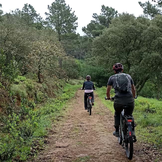 Cascais: Guided Scenic Bike Ride, Tuesday - Key Points