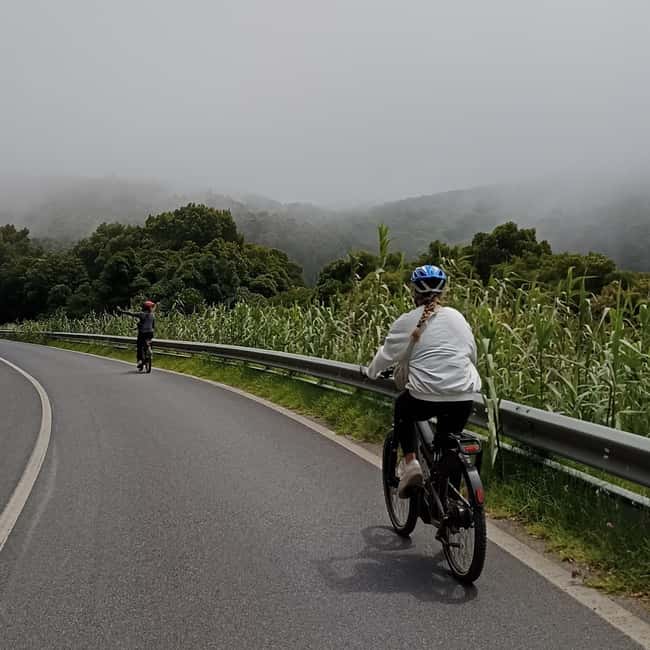 Cascais: Guided Scenic Bike Ride, Tuesday - The Scenic Coastal Road with Panoramic Views