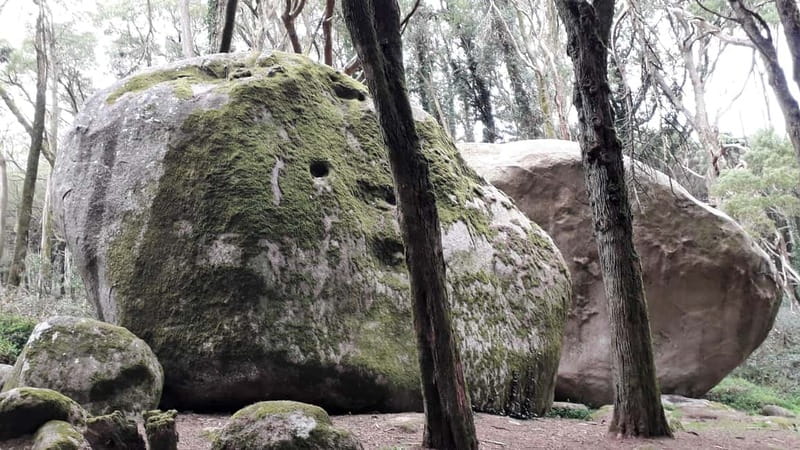 Cascais: Open Water Swimming and Hiking Experience - Key Points