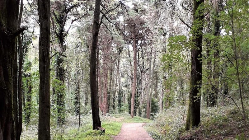 Cascais: Open Water Swimming and Hiking Experience - Swimming in Cascais Bay with a Certified Coach