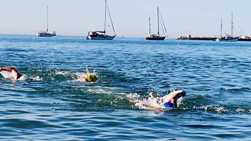 Cascais: Open Water Swimming and Hiking Experience - What’s Included and What to Bring