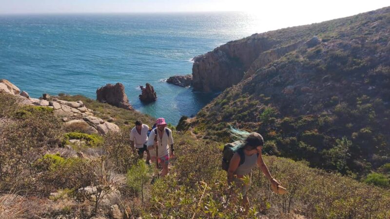 Cascais: Wild Coast Hike to a Secluded Swim Spot - Key Points