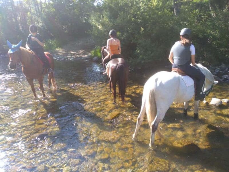 Casentino: Horseback Riding Tour with Verna Sanctuary View - Key Points