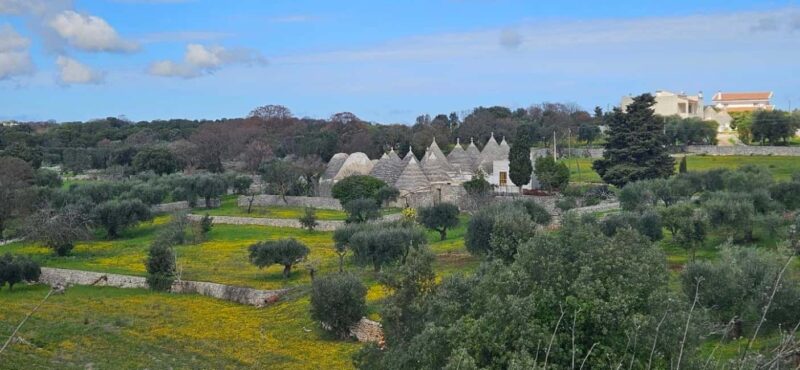 Cassano: E-Bike & Mozzarella DOP Lab in Alta Murgia Park - Exciting E-Bike Tour Through Alta Murgia and the Apulian Aqueduct Cycle Route