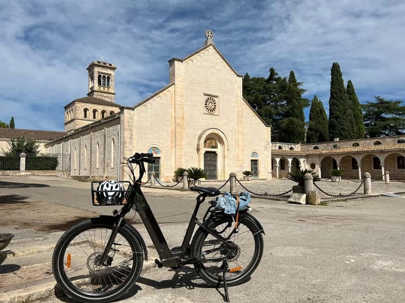 Cassano: E-Bike & Mozzarella DOP Lab in Alta Murgia Park - Comparing the Morning and Afternoon Options