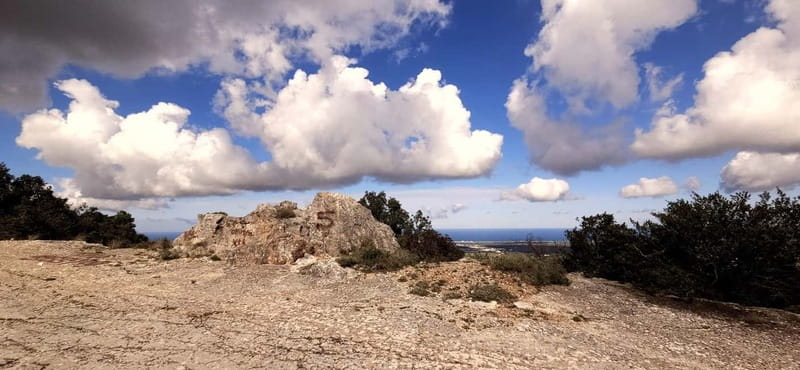 Cassano: E-Bike & Mozzarella DOP Lab in Alta Murgia Park - Tour Reviews and Feedback Highlights