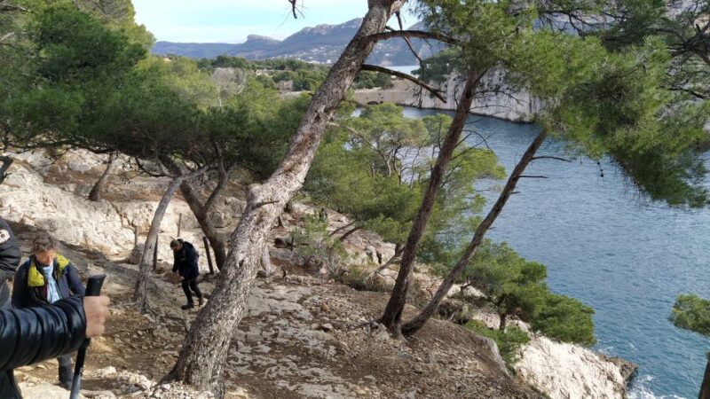 Cassis: 3 Calanques Half-Day Hiking Tour with Swimming - The Guide’s Role and Group Dynamics