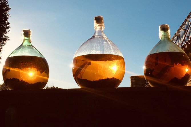 Cassis, Bandol and Le Castellet Wine tour - Customizable Itinerary: Hikes, Markets, and Swimming