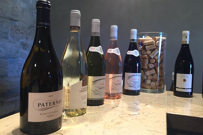 Cassis, Bandol and Le Castellet Wine tour - Comfortable Transport and Easy Logistics