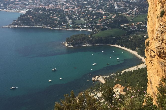 Cassis, Bandol and Le Castellet Wine tour - Wine Tasting and Boat Tour Options