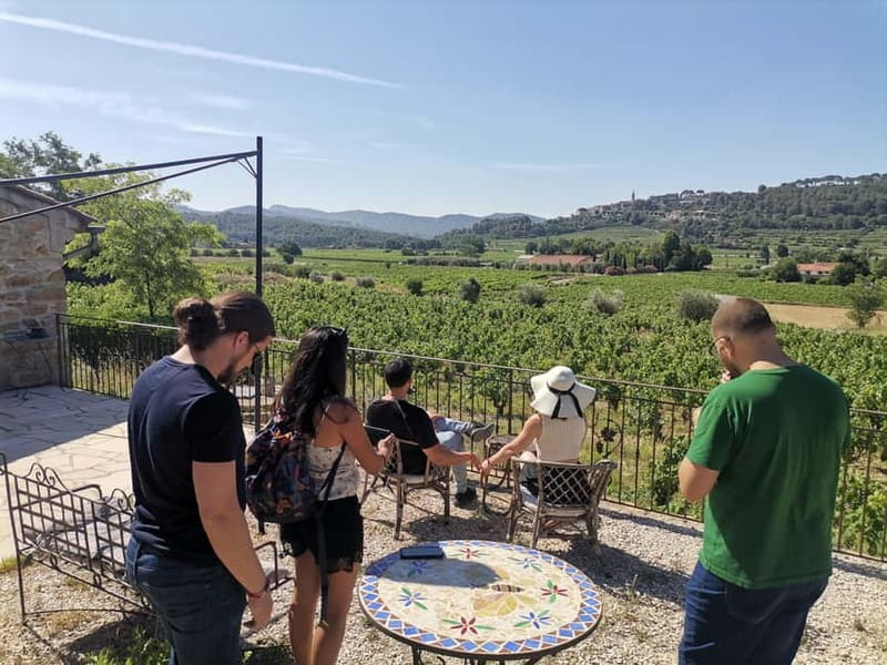 Cassis, Bandol, Le Castellet wine tour: Cliffs and Vineyards - Discovering Le Castellet: The Hilltop Village and F1 Circuit