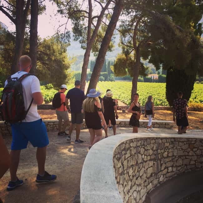 Cassis, Bandol, Le Castellet wine tour: Cliffs and Vineyards - The Journey Back to Marseille with Final Views