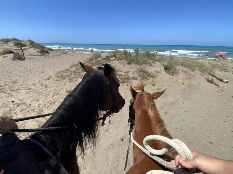 Castagneto Carducci: Horseback Riding Experience in Tuscany - Key Points