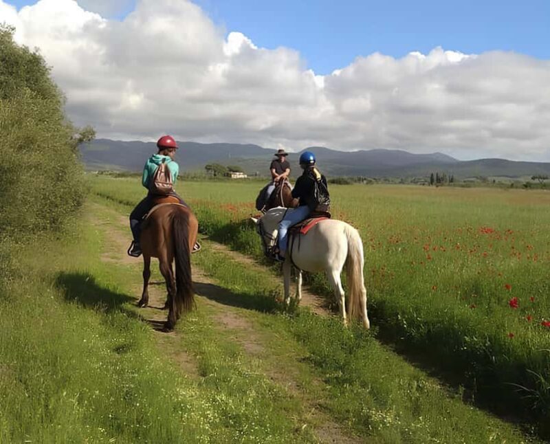 Castagneto Carducci: Horseback Riding Experience in Tuscany - Starting the Adventure in Castagneto Carducci