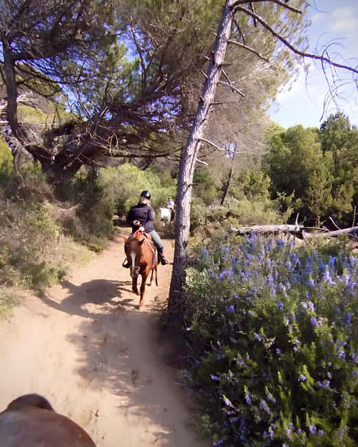 Castagneto Carducci: Horseback Riding Experience in Tuscany - The Unique Views Along the Trails and Beach