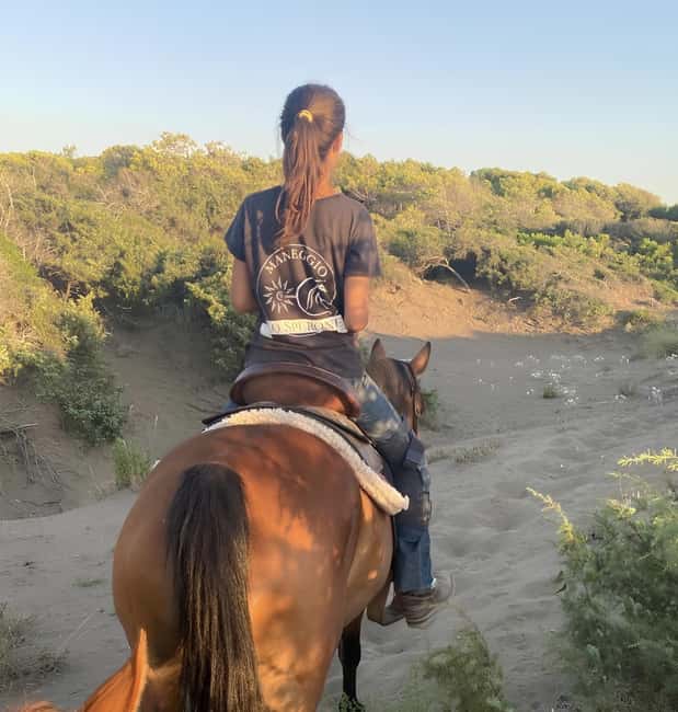 Castagneto Carducci: Horseback Riding Experience in Tuscany - Logistics and Group Experience