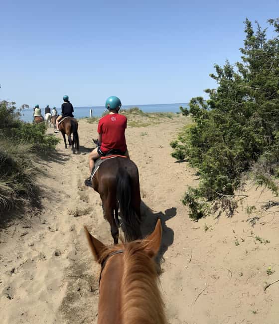 Castagneto Carducci: Horseback Riding Experience in Tuscany - The Value of the Tuscany Horseback Ride