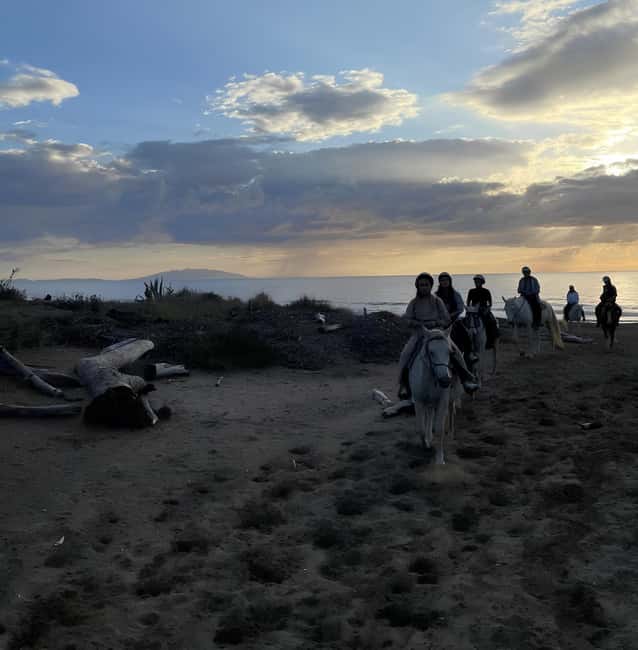 Castagneto Carducci: Horseback Riding Experience in Tuscany - Important Tips for a Smooth Ride