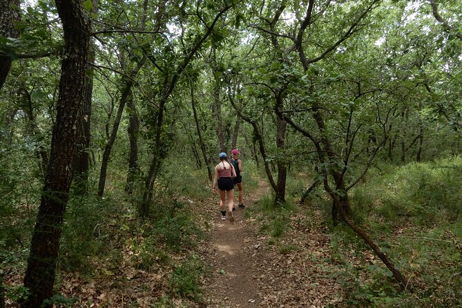 Castel del Monte: excursion in the Alta Murgia National Park - The Panoramic Views and Landscape Highlights
