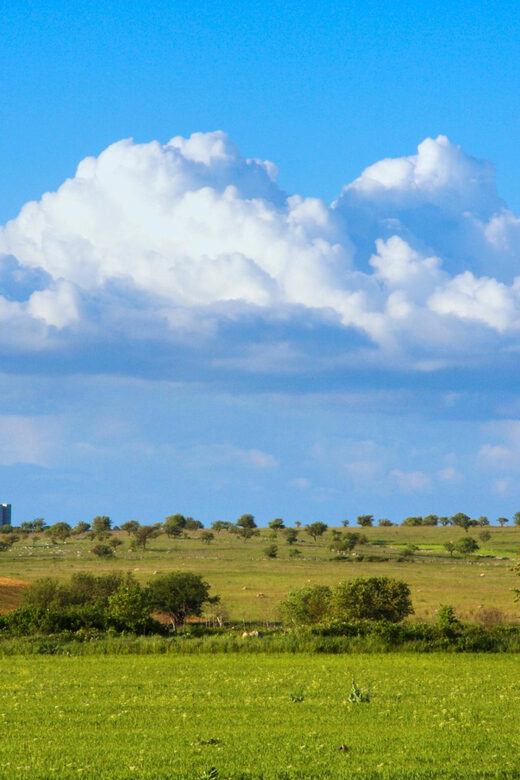 Castel del Monte Skip-the-Line Entry Ticket - Accessibility and Practical Tips