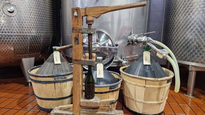 Castell'Arquato: Winery tour and tasting Colli Piacentini wines - Visiting the Vineyards and Production Areas