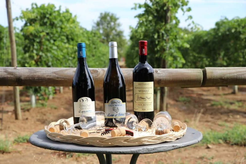 Castell'Arquato: Winery tour and tasting Colli Piacentini wines - What Makes This Tour Unique: Deep Roots and Terroir Focus