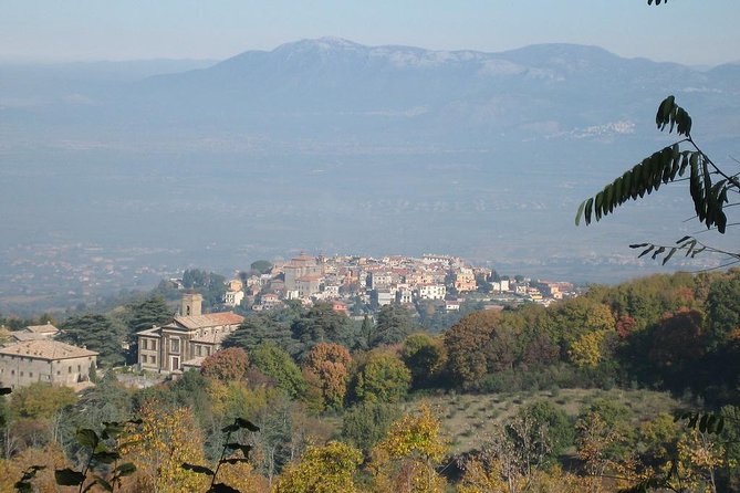 Castelli Romani: an experience between art, culture, food & wine - Wine Cellar Visit and Tasting in a Local Region