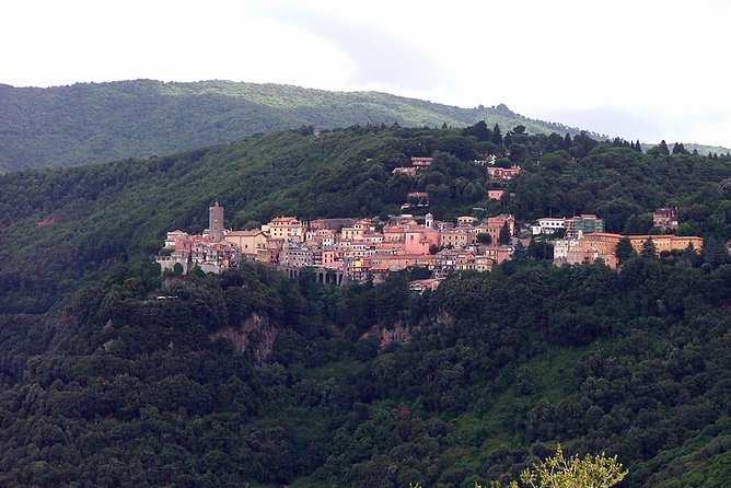 Castelli Romani: an experience between art, culture, food & wine - Practical Details: Logistics, Group Size, and Comfort