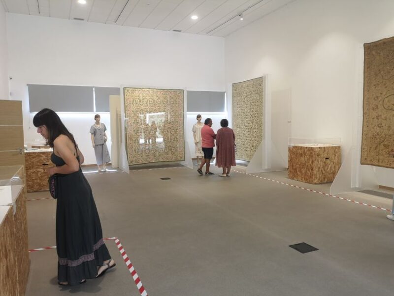 Castelo Branco: Culture and History Guided Tour with Museums - Climbing to the Castle for Unmatched Panoramic Views