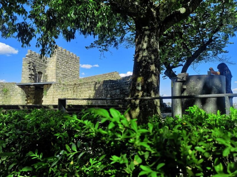 Castelo Branco: Culture and History Guided Tour with Museums - Who Will Love This Tour