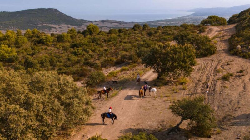 Castelsardo: horseback in Sedini - The Scenic Route Through the Anglona Region