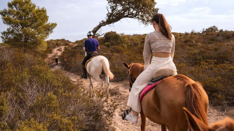 Castelsardo: horseback in Sedini - Physical Requirements and Restrictions