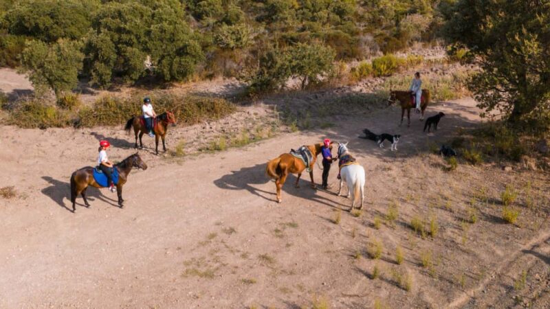 Castelsardo: horseback in Sedini - What to Expect During and After the Ride