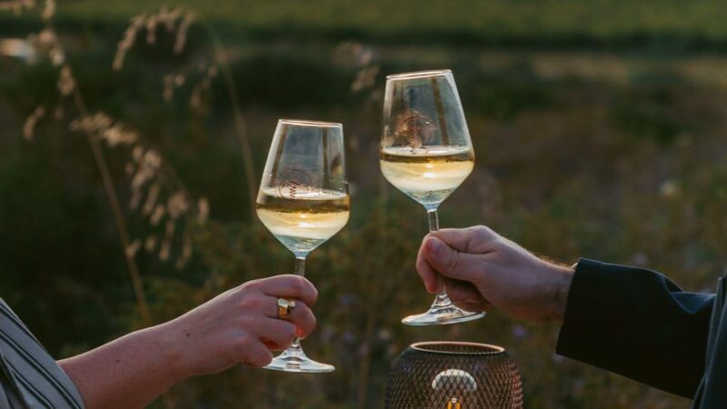 Castelsardo: visit a vineyard with wine tasting at sunset - Discover the Charm of a Sunset Vineyard in Castelsardo