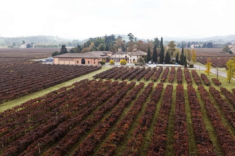 Castelvetro: winery tour and Lambrusco tasting - Key Points