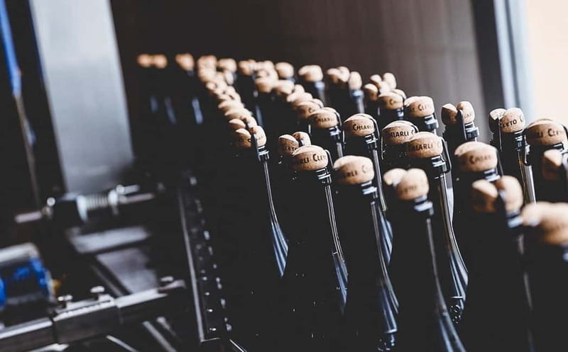 Castelvetro: winery tour and Lambrusco tasting - Exploring Villa Cialdini’s Gardens