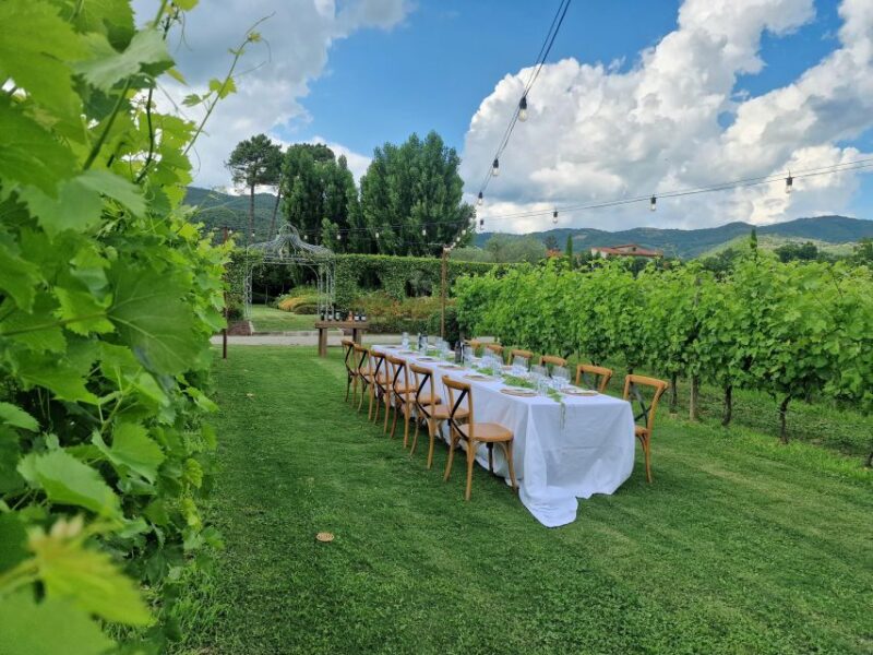 Castiglion Fiorentino: Tour, Tasting & Charcuterie Board - Key Points