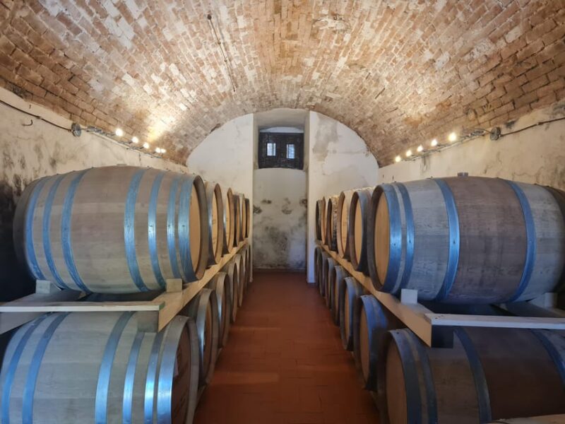 Castiglion Fiorentino: wine tasting with guided tour - The Vineyard and Cellar Tours: Behind the Scenes of Tuscan Winemaking