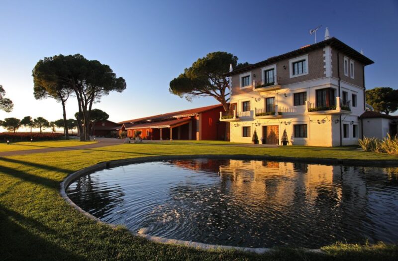 Castille and León: Vineyard Tour with Wine Tasting - Key Points