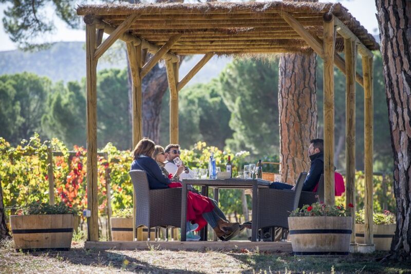 Castille and León: Vineyard Tour with Wine Tasting - Walking Through the Vineyard’s 15 Plots