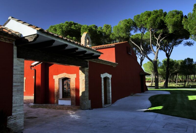 Castille and León: Vineyard Tour with Wine Tasting - Up Close with Fermentation and Barrel-Aging