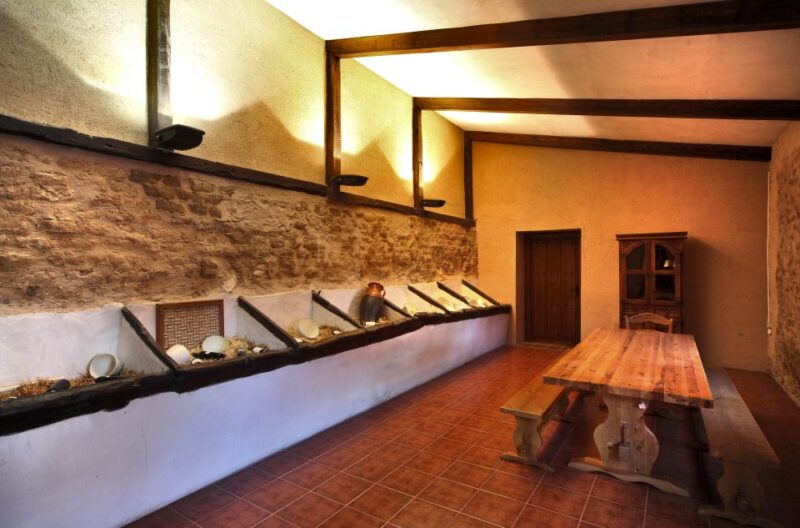 Castille and León: Vineyard Tour with Wine Tasting - The Wines: Pruno and Finca Villacreces