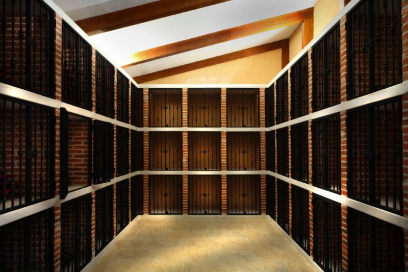 Castille and León: Vineyard Tour with Wine Tasting - Final Thoughts: A Short but Rich Visit into Spain’s Wine World