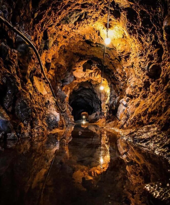 Castillo Tequila: Luxury History and Premium Sensory Tasting - Experience the Finest in Jalisco: Castillo Tequilas Luxury Tour