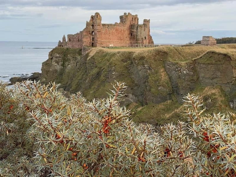 Castle and Coastline Electric Bike Tour North Berwick - Riding the Scenic Coastal Path and Woodland Trails