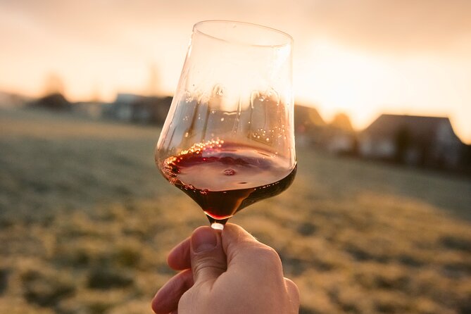 Castle & Wine Tasting - Private Day Trip from Zagreb - Optional Lunch and Hidden Costs