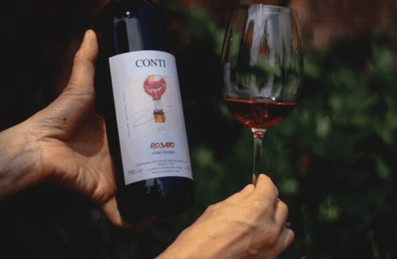 Castle Winery Tour & Tasting near Lake Maggiore - The Experience of the Guided Tour